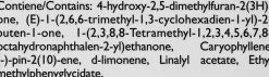 Aromadiffusor