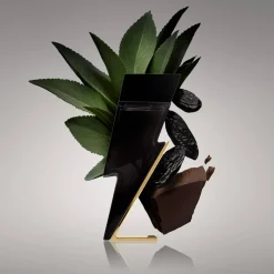 Carolina Herrera Bad Boy