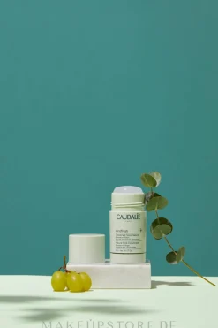 Deostick mit Eukalyptus- und Traubenduft
