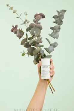 Deostick mit Eukalyptus- und Traubenduft