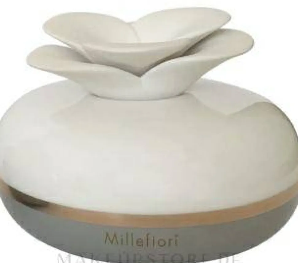 Diffusor aus Porzellan ohne Füllstoff