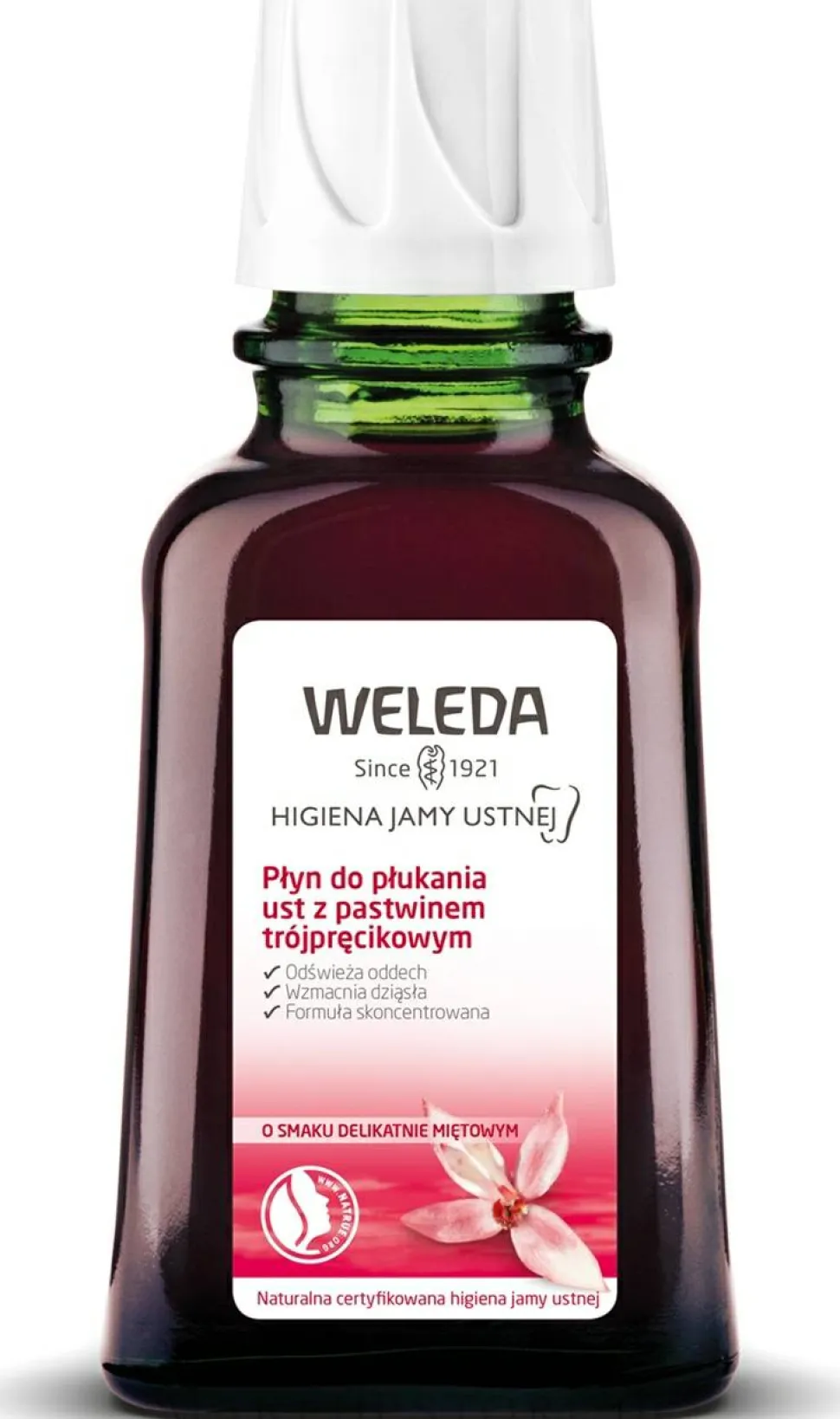 Erfrischendes Mundwasser mit Ratanhia