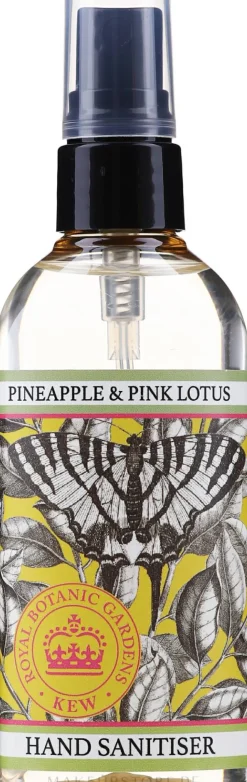 Händedesinfektionsmittel mit Ananas und rosa Lotus