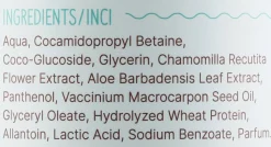 Körper- und Haarwaschschaum mit Blaubeeraroma und Aloe Vera