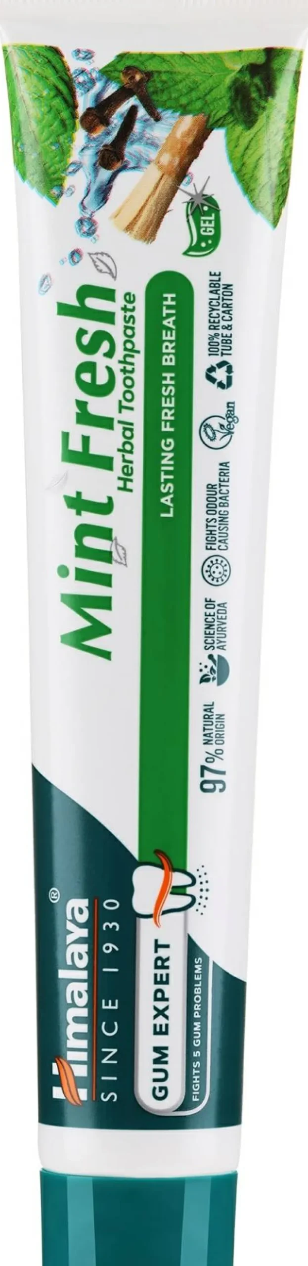 Kräuter-Zahnpasta für frischen Atem und gesundes Zahnfleisch Mint Fresh