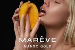 Nachfüllpackung für Duftstäbchen Mango Gold