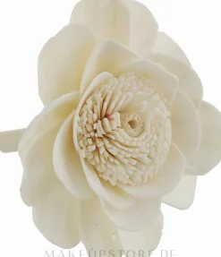 Raumerfrischer Aqua Flower