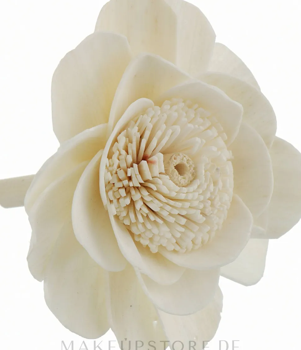 Raumerfrischer Aqua Flower