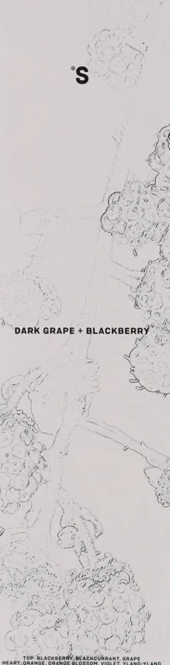 Raumerfrischer Dunkle Trauben und Brombeeren