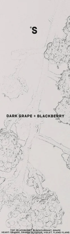 Raumerfrischer Dunkle Trauben und Brombeeren
