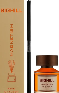 Raumerfrischer Magnetismus