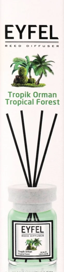 Raumerfrischer Tropic Forest