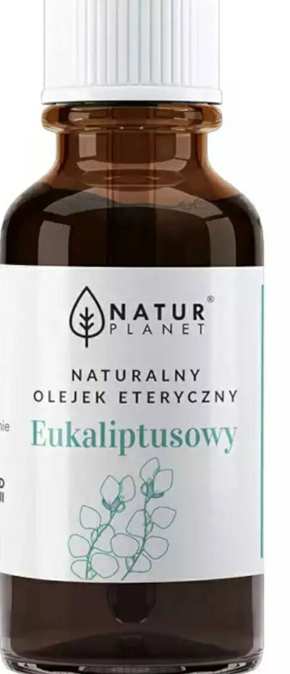 Ätherisches Eukalyptusöl