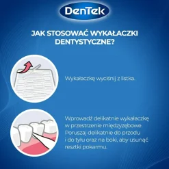 Zahnseide-Sticks im Kreditkartenformat 33 St.