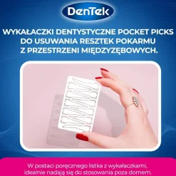 Zahnseide-Sticks im Kreditkartenformat 33 St.